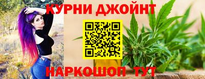 крисы Кинель