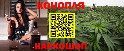 крисы Кинель