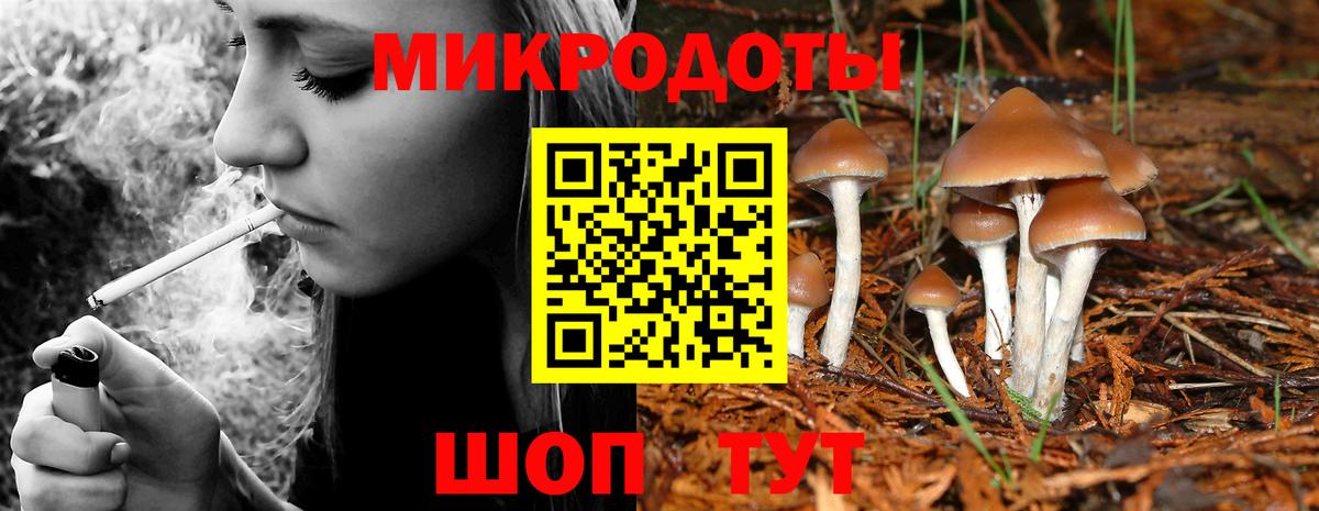 Кропоткин  Галлюциногенные грибы Psilocybe  Вход с VPN 
